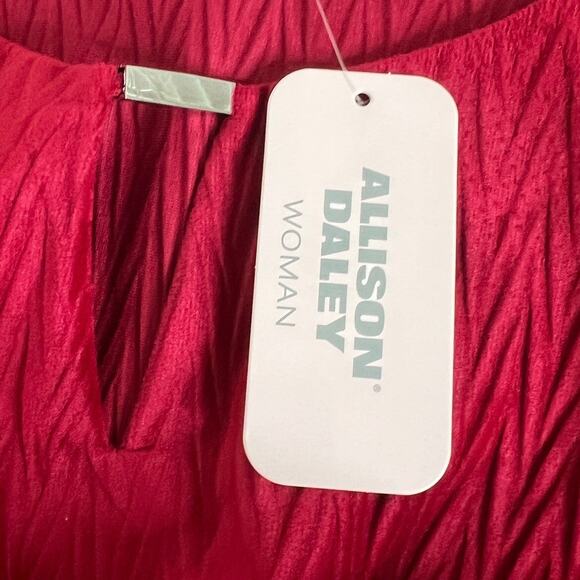 Allison Daley Woman Red Textured Tunic Top 3X Asymmetric Stretch Holiday Top - Picture 8 of 9